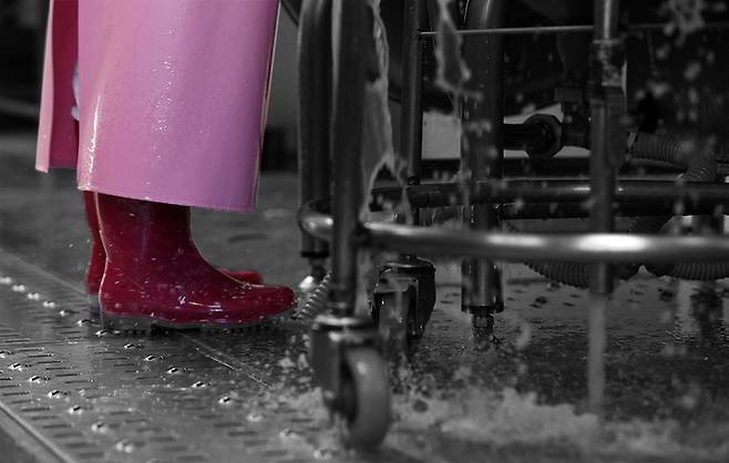 급식실에서 신는 위생장화. 미끄럼 방지, 뜨거운 물이나 기름이 신발 안으로 들어가는 것을 막기 위해 반드시 장화를 신어야 한다. 권도현 기자