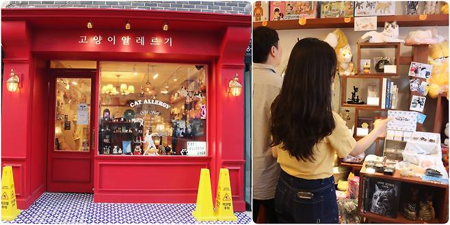 빨간색 페인팅이 매력적인 고양이 알레르기. 고양이 집사들이 즐겨찾는 고양이 알레르기에서 연인들이 소품을 구경하고 있다.