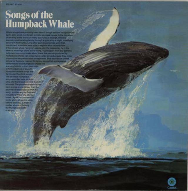 인류 역사상 최고의 판매 실적을 기록한 환경 음반으로, 70년대 이후 지구 환경-생태운동에 획을 그은 로저 페인의 70년 음반 '혹등고래의 노래'. 수중 녹음 및 음반 기술이 발전하면서 음반은 여러 차례 거듭 제작됐다. 위키피디아.