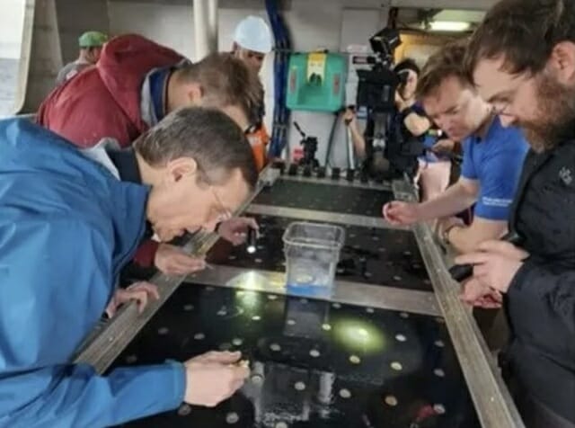 연구팀이 남태평양 바닥에서 회수한 소구체들을 조사하는 모습 (사진=아비 로브)
