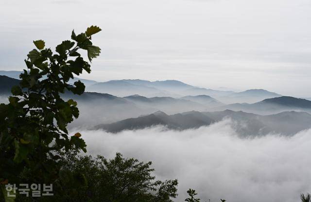 독용산성 길을 걸으면 주변의 웅장한 산세가 시원하게 조망된다.