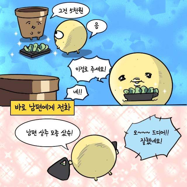감자 작가 인스타툰부. 감자 작가 제공