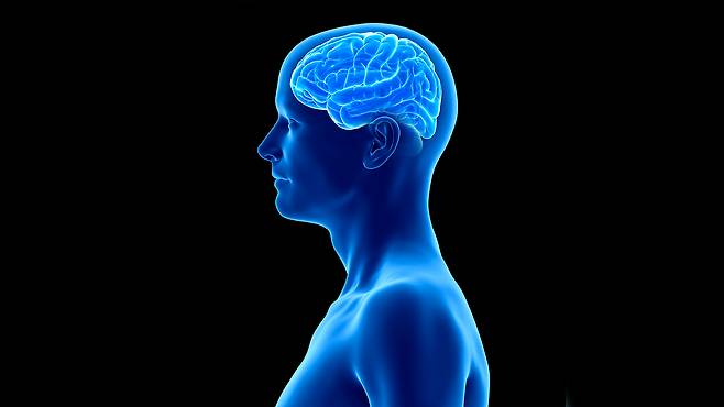 사진출처 : 클립아트코리아