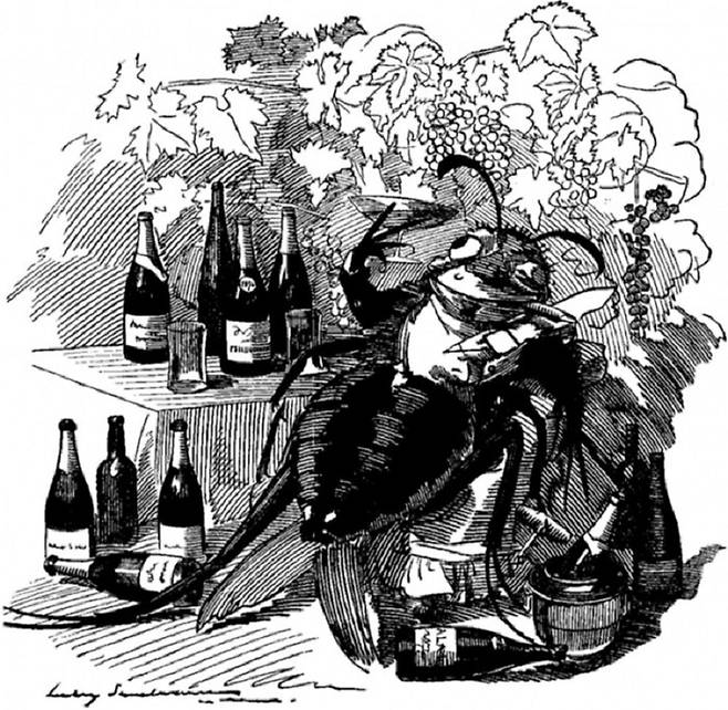 1890년 영국의 유머와 풍자 주간지 Punch에 소개된 필록세라 삽화. 여기에는 ‘진정한 미식가, 필록세라는 가장 좋은 와이너리들을 찾아내고 가장 좋은 와인에만 달려든다’라고 소개돼 있다. <출처=위키피디아>