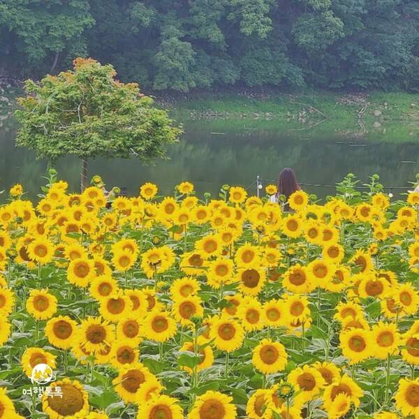 ⓒ여행톡톡