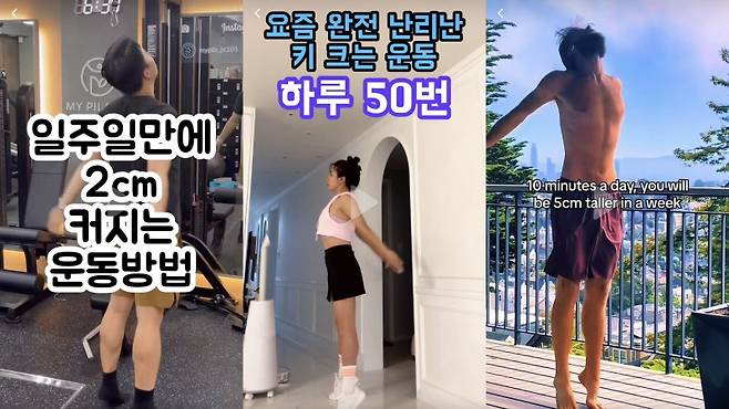최근 SNS상에서는 1주일이면 키가 5cm나 커진다는 '키 크는 운동'이 주목받고 있다. 사진=틱톡 캡처(왼쪽부터 쌥쌥이, 하이츄, yogawithmax), 뉴시스