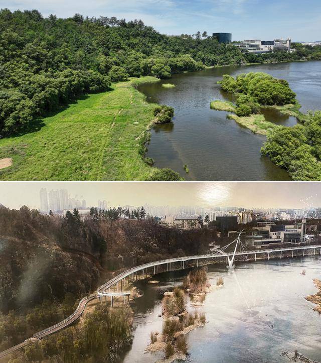 대구 팔현습지 전경. 아래 사진은 교량형 자전거도로(‘금호강 사색있는 산책로’) 조감도. 대구환경운동연합 제공
