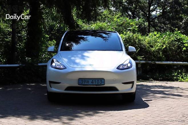 테슬라, 모델 Y RWD
