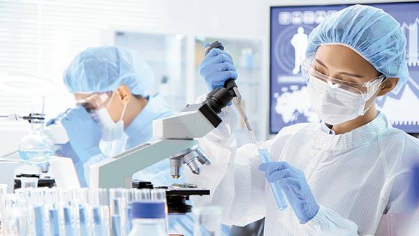 클립아트코리아