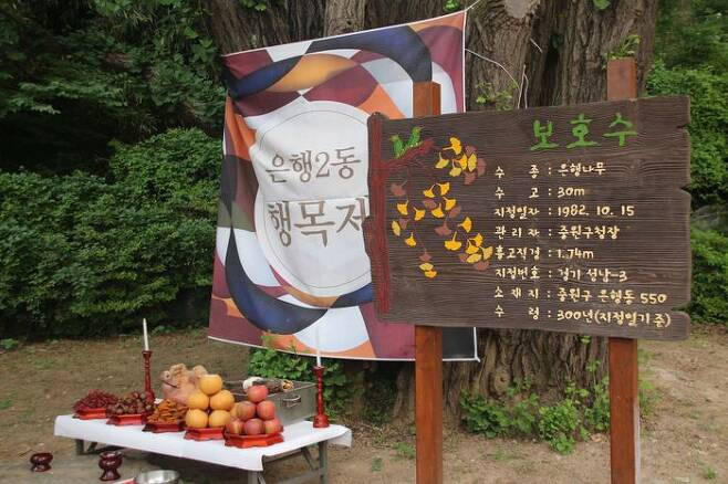 성남시는 9일 중원구 은행2동 상원초등학교 운동장에서 ‘제14회 은행골 축제’를 연다.ⓒ성남시 제공