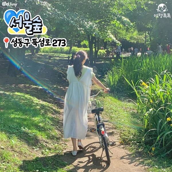 서울 산책하기 좋은 곳 추천 / @el.hny