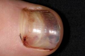 사진=클립아트코리아