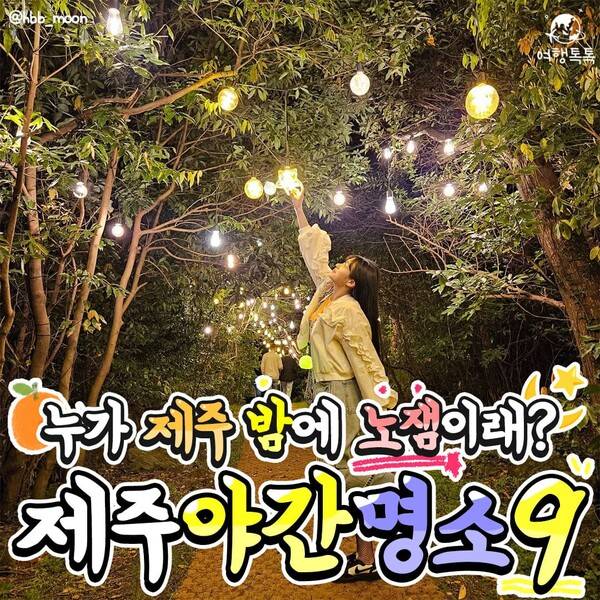 제주 밤에 가볼만한 곳 / @hbb_moon