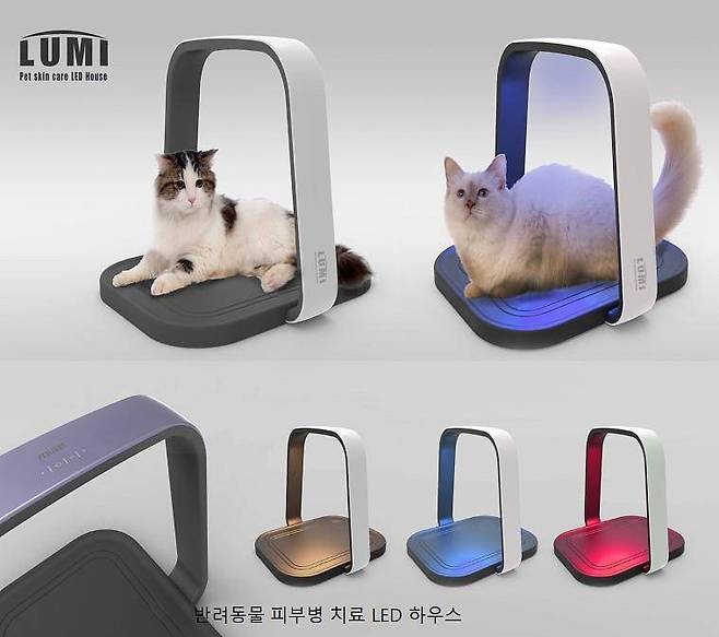 제로나인메트리얼이 PBM을 활용해 만든 반려동물 광조사기 치료 하우스 완성도 / 출처=제로나인메트리얼