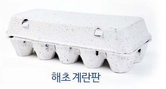 해초계란판/사진=마린이노베이션