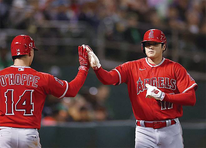 LA 에인절스의 오타니 쇼헤이가 2023년 9월 1일 캘리포니아주 오클랜드의 링센트럴 콜로세움에서 열린 오클랜드 애슬레틱스와 경기에서 8회 득점 후 로건 오호프(14번)의 축하를 받고 있다. 사진 AFP연합