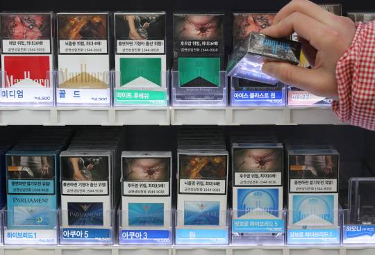 뉴시스