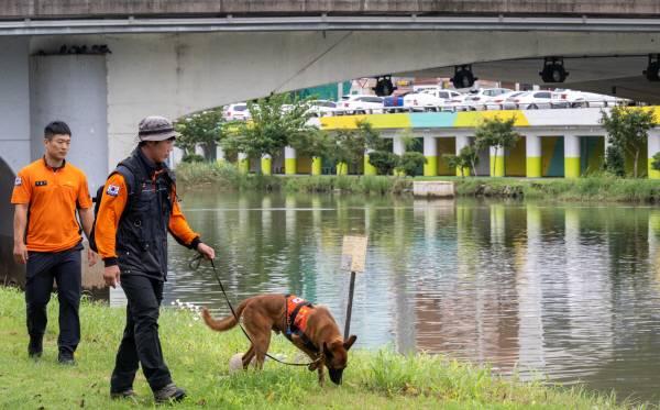 지난 21일 동래구 안락교 근방 온천천 일대에서 소방대원들이 수색견을 동원해 전날 불어난 물에 의해 온천장역 인근에서 실종된 여성을 찾는 수색작업을 벌이고 있다. 이원준 기자 windstorm@kookje.co.kr