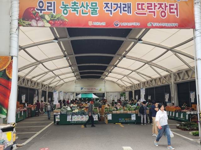 서울 강동구 서울농협본부 옆 주차장에서 열린 ‘우리 농축산물 직거래 뜨락장터’에서 소비자가 장을 보고 있다. 직거래장터는 연휴 직전 27일 저녁 6시까지 문을 연다.