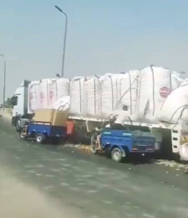 최근 이집트의 한 도로에서 청년들이 달리는 트럭에 실린 감자 포대를 칼로 자른 뒤 흘러나온 감자를 자신들이 타고 있는 개조 트럭 ‘툭툭’에 옮겨 담는 모습. 사진 출처 X(옛 트위터)