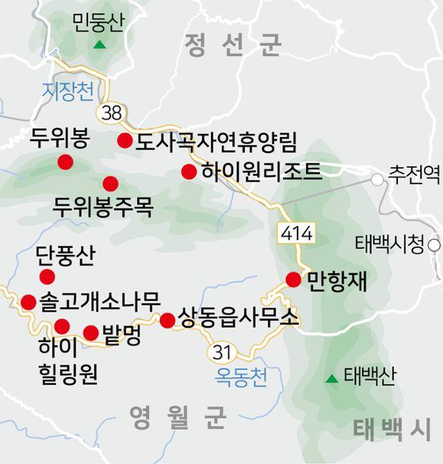 정선 두위봉주목과 영월 솔고개소나무 주변 여행 지도. 김문중 선임기자