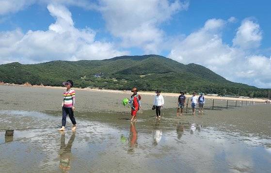 인천 무의도 하나개 갯벌을 걷는 맨발 걷기 동호인들.