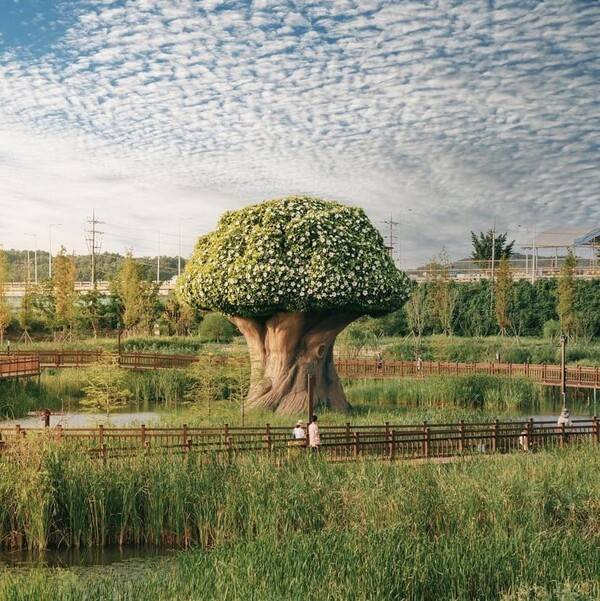 파주 가볼만한 곳 / 온라인 커뮤니티