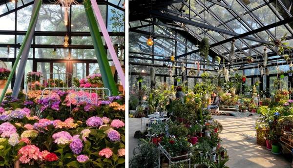 파주 가볼만한 곳 / 온라인 커뮤니티