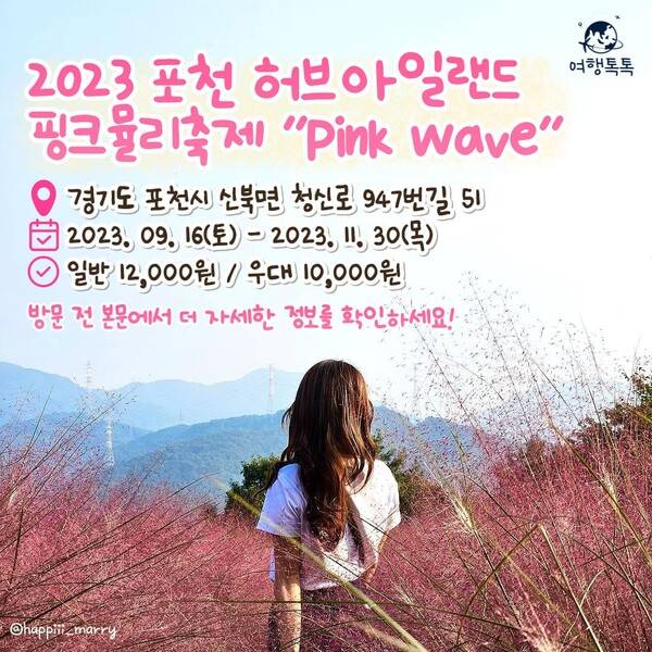 2023 허브아일랜드 핑크뮬리축제 ⓒ여행톡톡