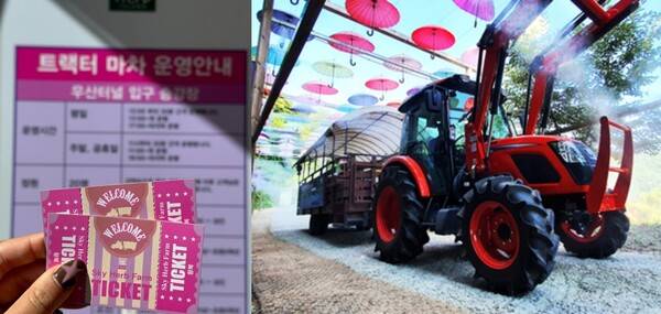 @sss.__.ong / 허브아일랜드