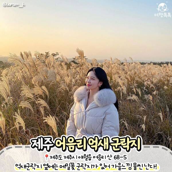 억새 명소 추천 / ⓒ여행톡톡