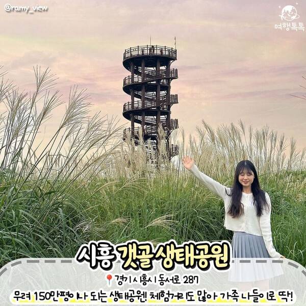 억새 명소 추천 / ⓒ여행톡톡