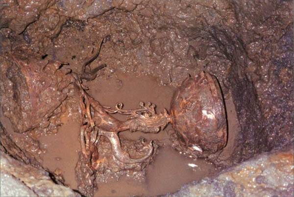 지난 1993년 12월 12일 밤 백제 사비시대 임금들의 무덤이 모인 능산리고분군 서쪽 계곡부 주차장 예정부지에서 출토된 백제금동대향로. 구유형 물통 속에 숨겨져 있었다. / 국립부여박물관 제공