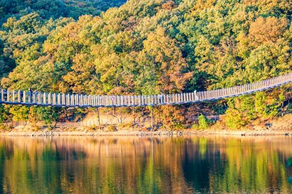 출처: 경기관광포털 (수도권 단풍 여행)