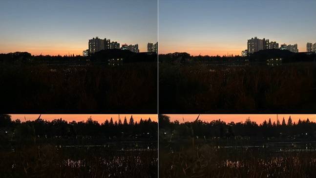 아이폰15 플러스로 촬영한 사진. 야간 모드를 끈 상태로 왼쪽은 2400만 화소, 오른쪽은 4800만 화소로 촬영했다. 사진을 확대해보면 오른쪽 사진이 어둠 속에서도 갈대를 더 선명하게 잡아냈다./사진=백유진 기자 byj@