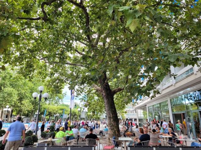 비스바덴 거리에서 바이애슬론 경기를 관람하는 관광객과 시민들의 모습. 자연과 사람이 어우러져 평화로운 풍경을 연출한다.