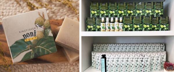 온라인 커뮤니티