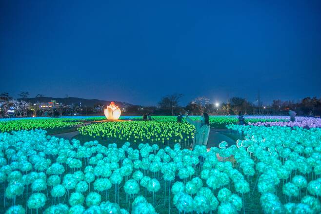 밤이 아름다운 경주 빛누리정원. LED 장미와 수국이 음악에 맞춰 라이트쇼를 펼친다. /임화승 영상미디어 기자