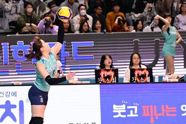 사진=KOVO 제공