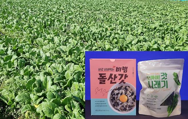 ▲돌산갓 시래기 사진 : 전남도