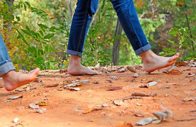 사진=클립아트코리아