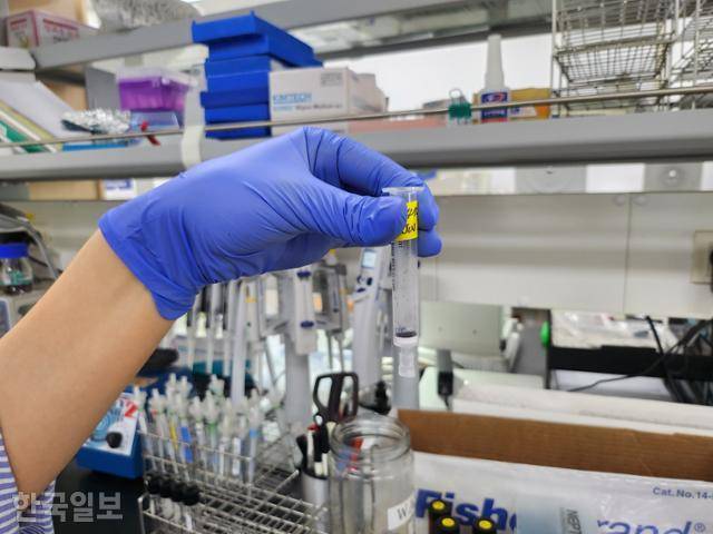 강원 원주시 국립과학수사연구소 본원에서 연구원이 마약류 감정을 위해 잘게 자른 머리카락이 담긴 시험관을 들어 보이고 있다. 원다라 기자