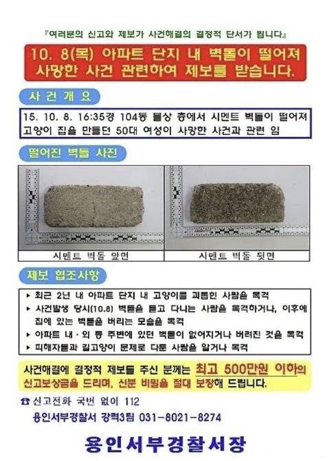 2015년 10월 경기 용인 수지구의 한 아파트 옥상에서 초등학생들이 벽돌을 떨어뜨려 길고양이 집을 짓던 50대 여성이 숨지고, 20대 남성은 두개골이 함몰되는 상해를 입었다. 경찰은 제보 전단을 만들어 벽돌을 던진 용의자를 수소문했고, 이 아파트에 사는 8~11세 초등학생들이 범행을 저지른 것으로 드러났다. 용인서부경찰서