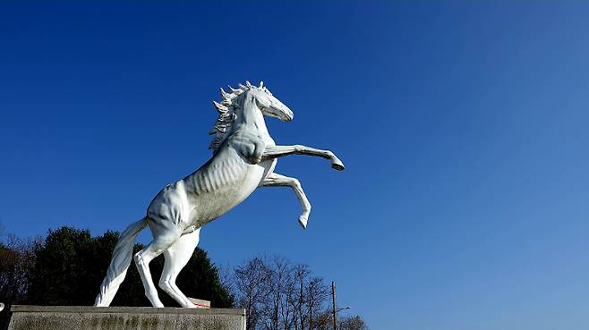 18일 백마고지 호국영령을 기리는 전적비 앞에 흰 말 동상이 서 있다. 백마고지는 폭격으로 민둥산이 된 고지가 마치 백마처럼 보인다고 하여 이름 붙여졌다. 이도훈 씨 제공
