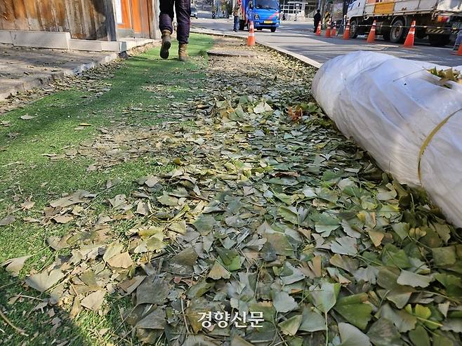서울 용산구 용산중학교 인근 도로에 ‘초록 낙엽’이 흩어져 있다. 최혜린 기자