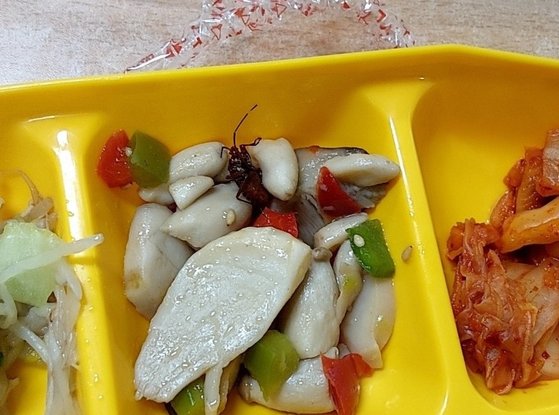 지난 23일 경남 창원시 한 고등학교 위탁 급식에서 벌레가 나와 교육청이 현장 점검에 나섰다. 사진 디시인사이드 캡처