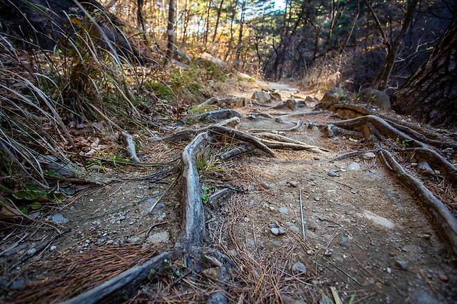 대관령 옛길의 오래된 길