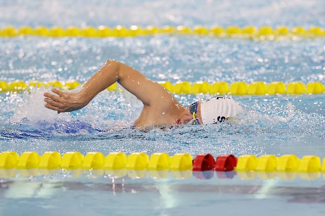 지난 11월 제43회 전국 장애인체육대회에서 자유형 종목에 나선 김윤지. 대한장애인체육회 제공