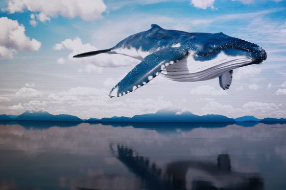 큰 고래가 유영하는 플롭 선양의 미디어아트 존. 사진 맥키스컴퍼니