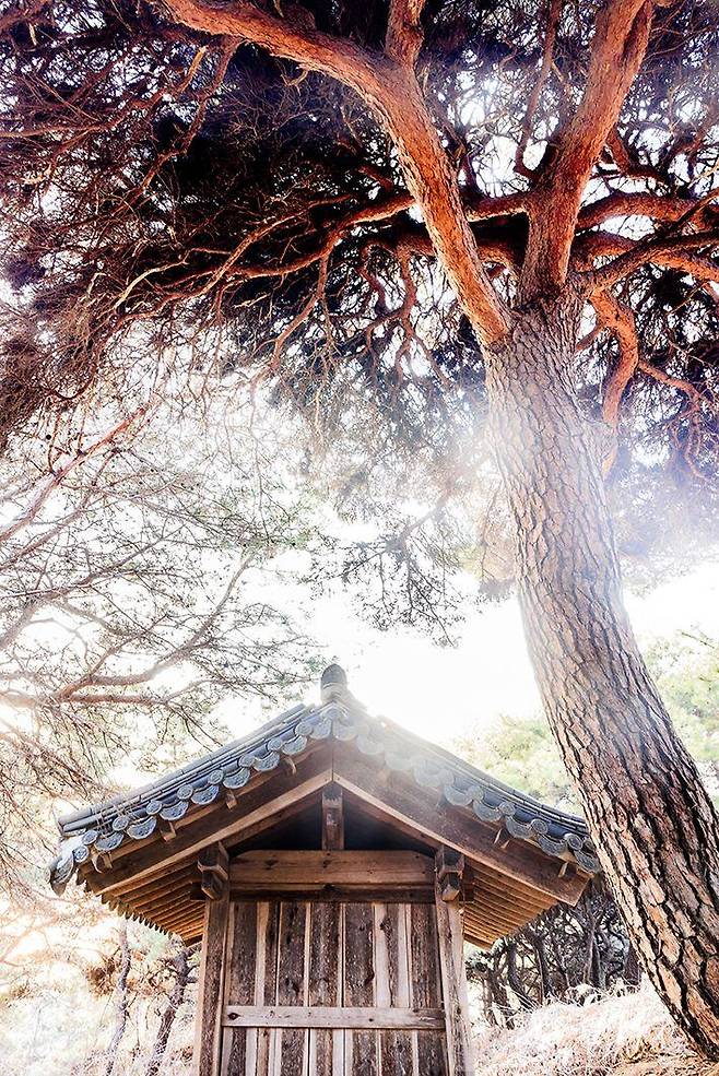‘피끝마을’ 뒷산에 있는 성황당. 금성대군 혼령을 위로하기 위해 1711년 고씨 성을 가진 무당이 만든 성황당이다. 지금도 당제를 지낸다. /박종인 기자
